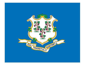 CONNECTICUT State Flag Hard Hat Sticker