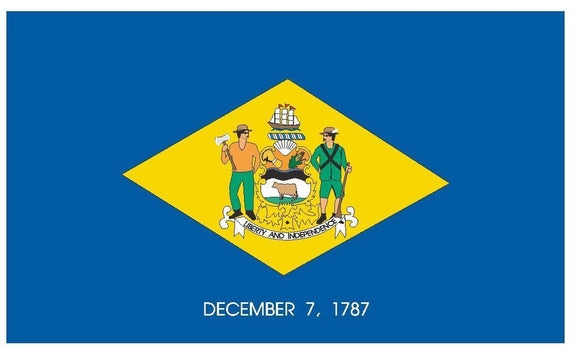 DELAWARE State Flag Hard Hat Sticker